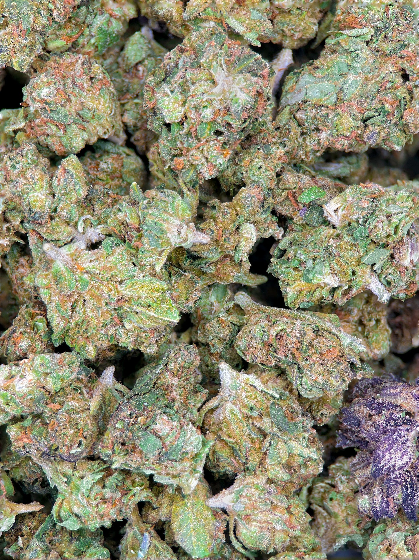 Acapulco Gold (Smalls) – Best THCa Smokable Hemp Flower