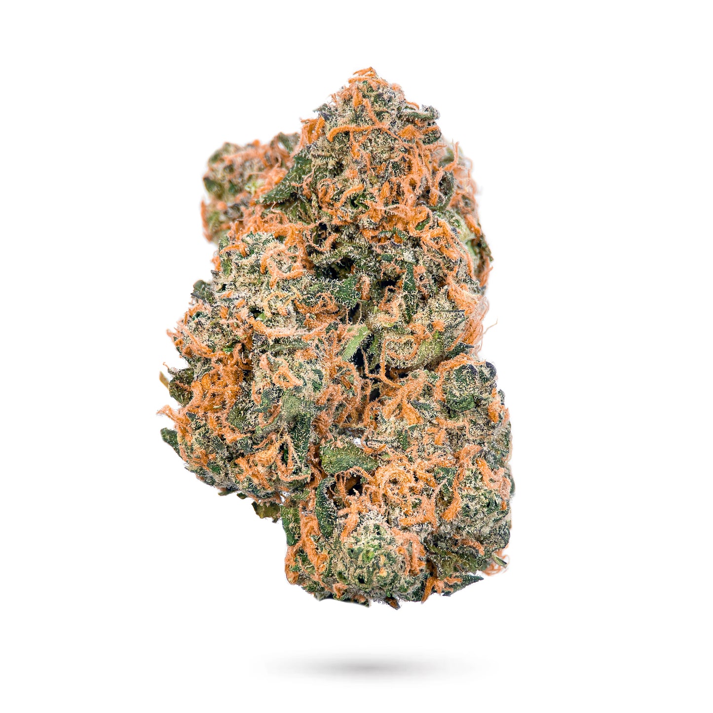 Government Oasis – Best THCa Hemp Flower - Hybrid