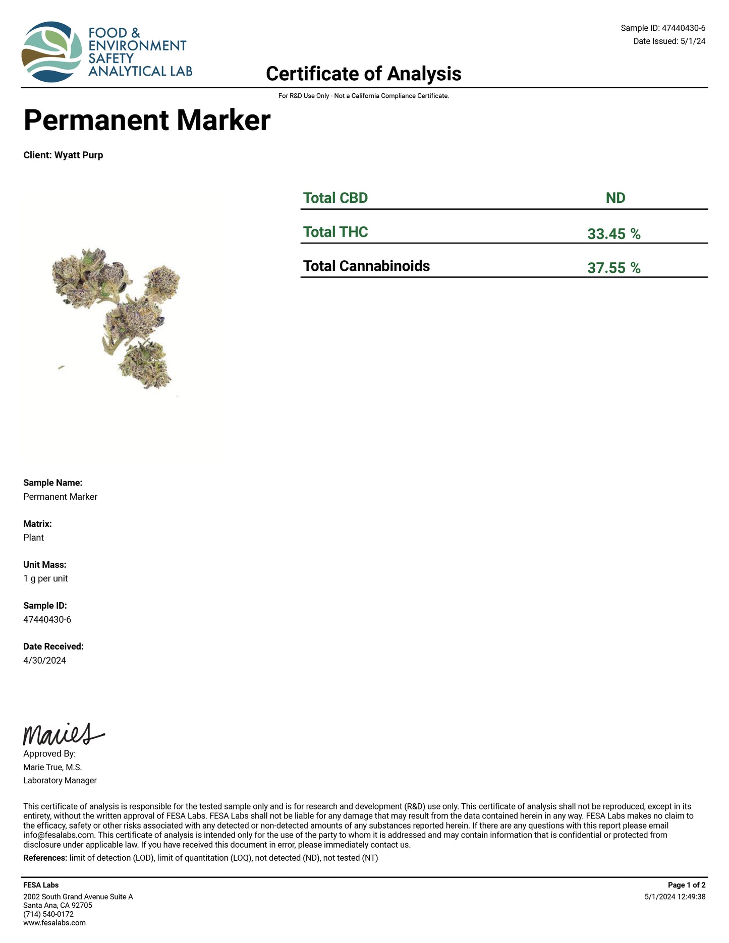 Permanent Marker – Best THCa Smokable Hemp Flower