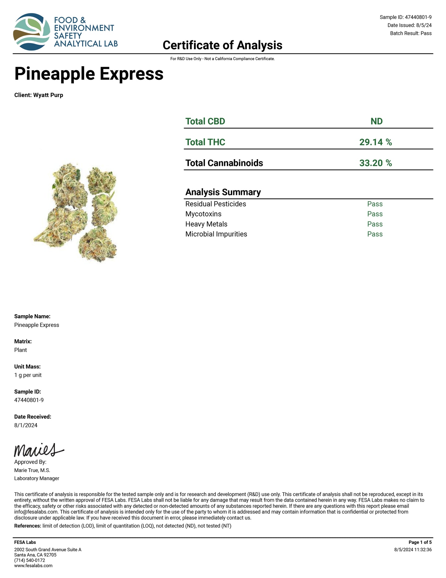 Pineapple Express (Smalls) – Best THCa Smokable Hemp Flower
