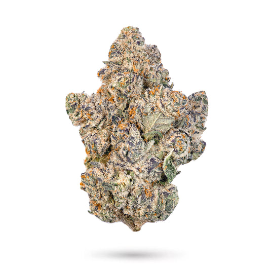 Baccio – Best THCa Hemp Flower
