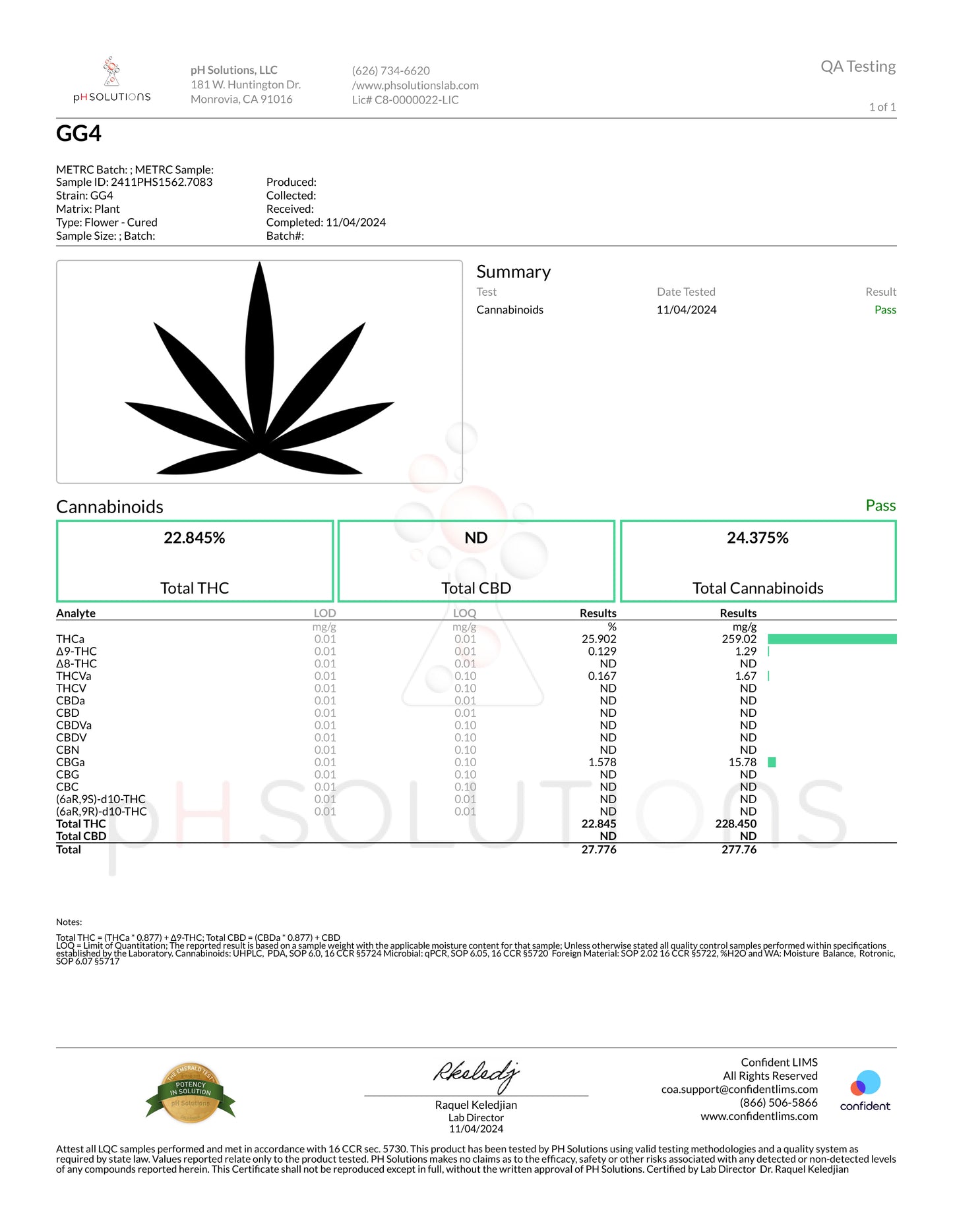 GG4 (Gorilla Glue) – Best THCa Smokable Hemp Flower