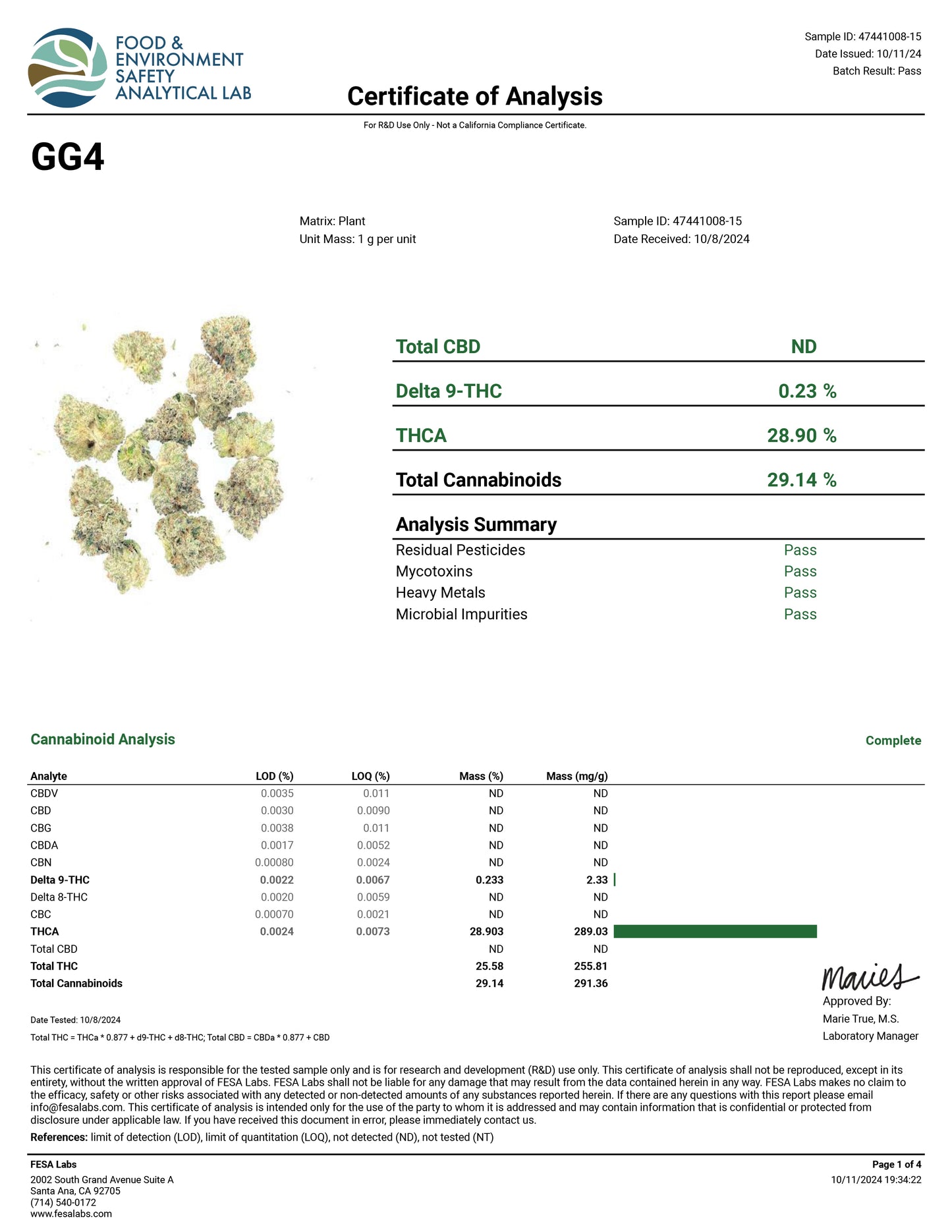 GG4 (Smalls) – Best THCa Smokable Hemp Flower