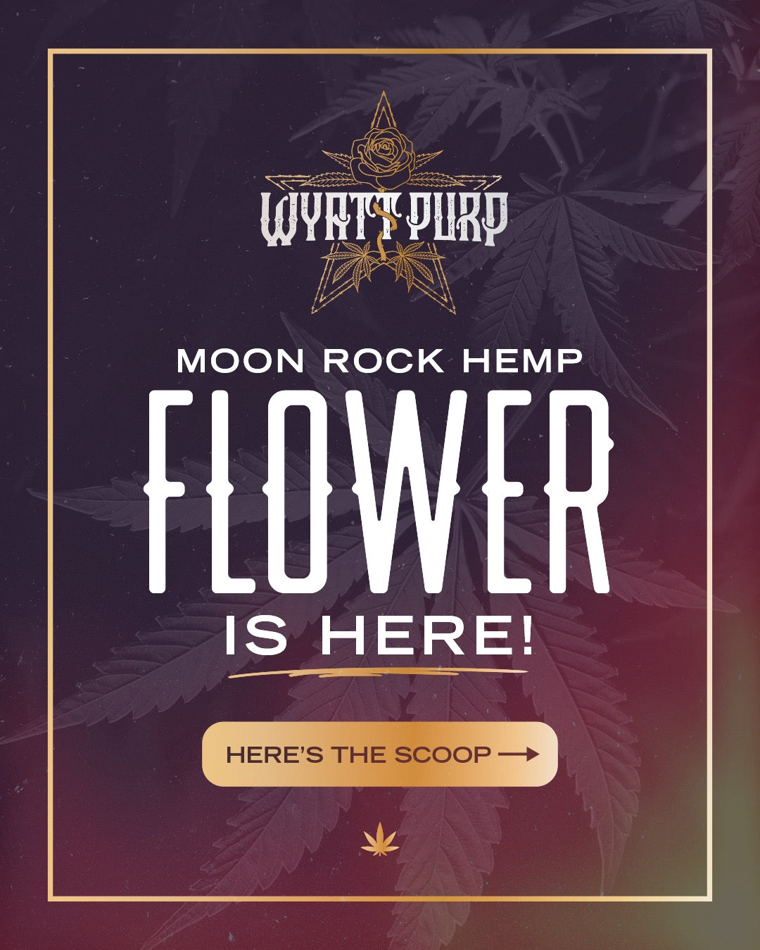 Lemon Cherry Marker - Moon Rock Hemp Flower