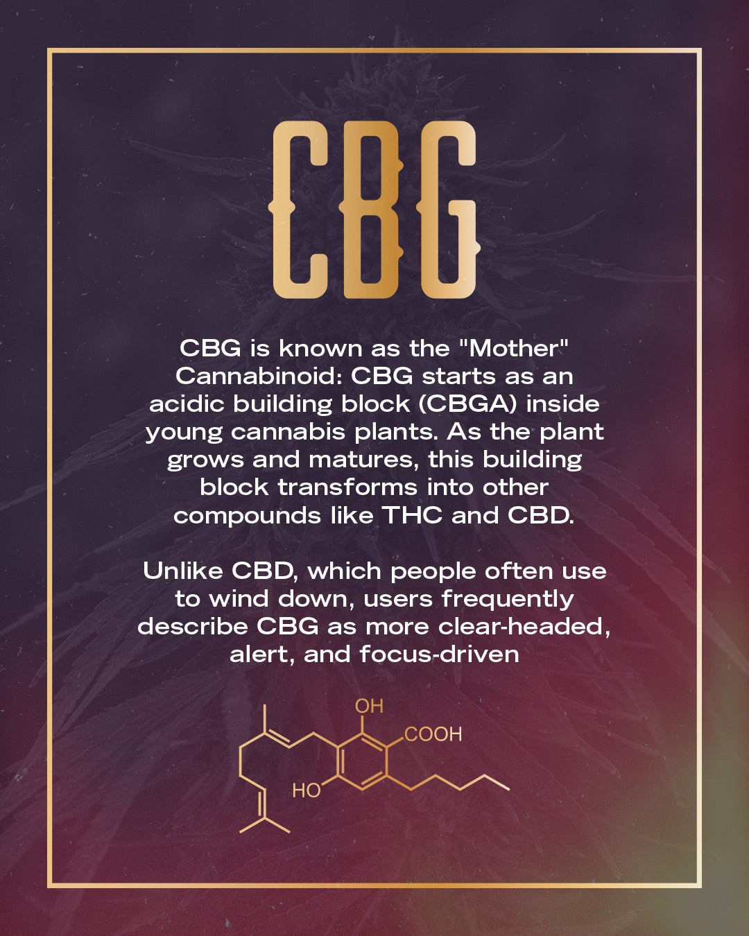 Lemon Cherry Marker - Moon Rock Hemp Flower