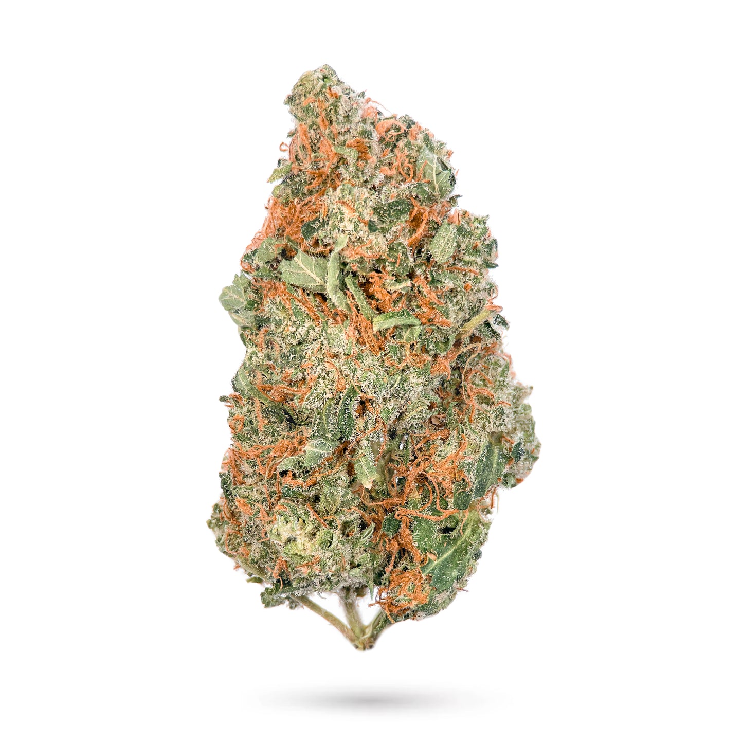 Jack Frosty – Best THCa Hemp Flower - Hybrid