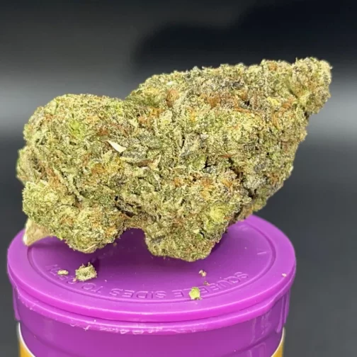 grape frosty thca flower on top of canister